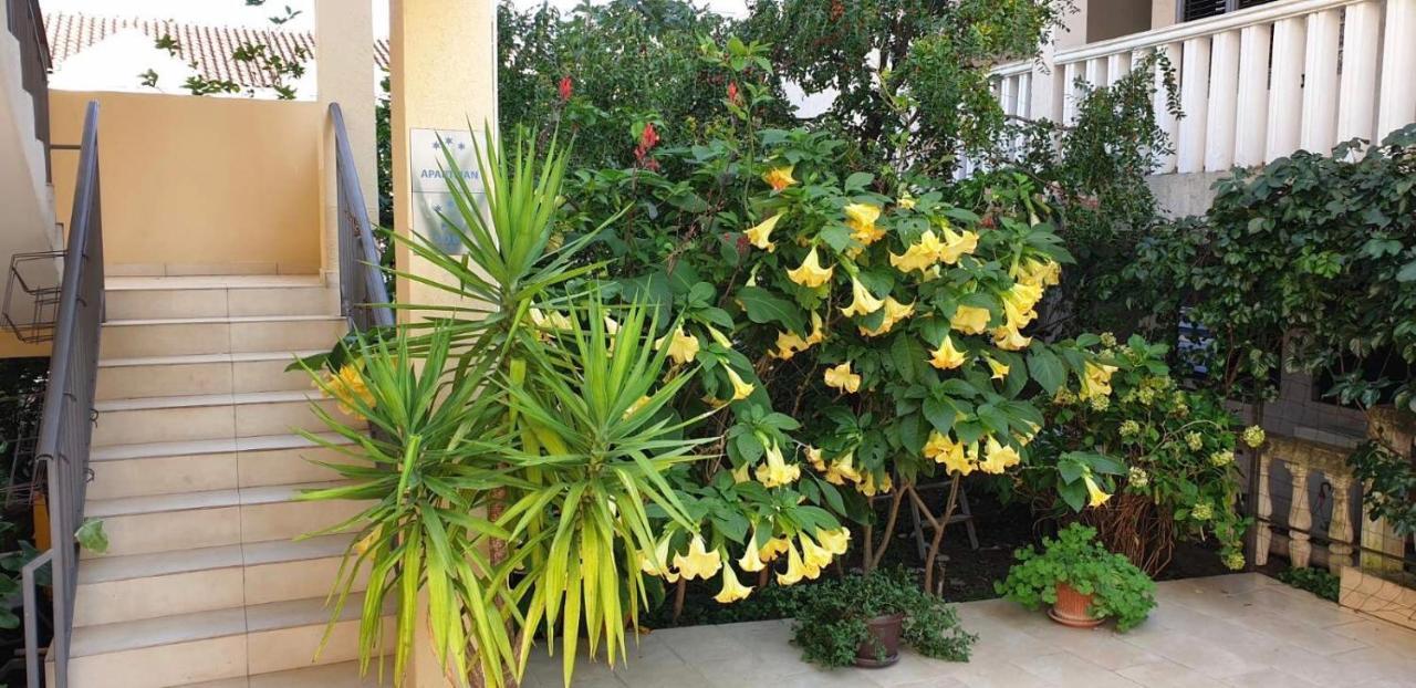 Villa Rihter 부드바 외부 사진